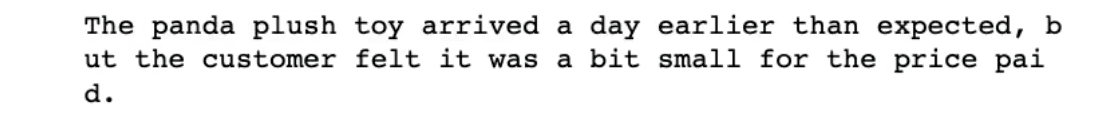 Screenshot of a result for summarizing a review with a focus on delivery