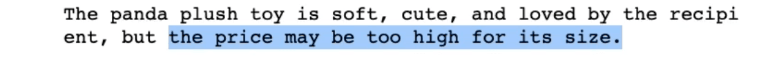 Screenshot of a result for summarizing a review with a focus on price